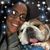 Stephanie Speight's profile image