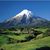Leigh Ann Smith's profile image