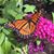 Lorri Neeley's profile image
