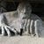 Cindy Robison's profile image