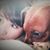 Orlena Puckett's profile image