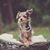 Debra Sandlin's profile image