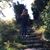 Missy McDougall's profile image