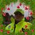 Barbara Christman-Bolton's profile image