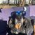 Tacy Holliday's profile image