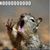 Jeffrey Dailey's profile image