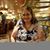 Dennie Fields Freedom's profile image