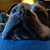 Michele Luttrell Young's profile image