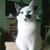 Katie Opp's profile image