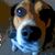 Keith Tomaier's profile image