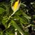 Edward Fields's profile image