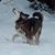 Kerstin Horning's profile image