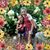 Amy Baird-Larkin's profile image