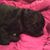 Kristy Bullard's profile image