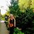 Verica Stevanovic's profile image