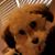 Chrispy Bar's profile image