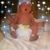 Cindy Flores Watson's profile image