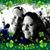 Mindy Irwin's profile image