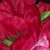 Gail Boney's profile image
