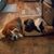 Larry D. Schoonover's profile image