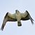 Robert Truesdell's profile image