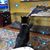 Kelly Hagstrand's profile image