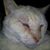 Barbara Hall's profile image