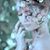 Jeanette Amejorado's profile image
