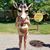 Marie Michaels's profile image