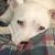 Lisa Estes Perkins's profile image