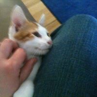 Clara Hamill's profile image