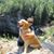 Diane Linder's profile image