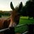 Kathleen Kunkel's profile image