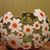 Kathie Jackson's profile image