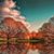 Lucia Sanchez's profile image