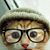 Holly Douglas Maupin's profile image