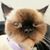 Tae Kyun Ahn's profile image