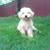 Amy Schildhouse Greenberg's profile image