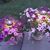 Karen Vix Gallaway's profile image