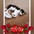 Theresa Collins-Keck's profile image