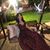 Sharona Jolie Rafaeloff's profile image