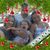 Charlene Melchiorri's profile image