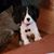 Cindi Radtke Troia's profile image