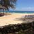 Carole Ahlbeck Calabro's profile image