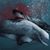 Seala Blue's profile image