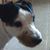 Terri Brisco's profile image