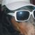 Lee Wingfield's profile image