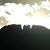W Andrew Ful's profile image