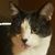 Julie Pound's profile image