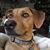 Laura Perrin Ball's profile image